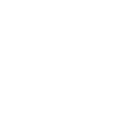 mechanic 2
